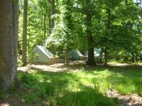Summer camp tents.jpg
