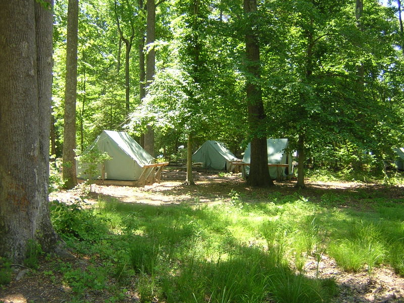File:Summer camp tents.jpg