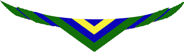 File:9th-16th Cape Town Scout Necker Scarf.png